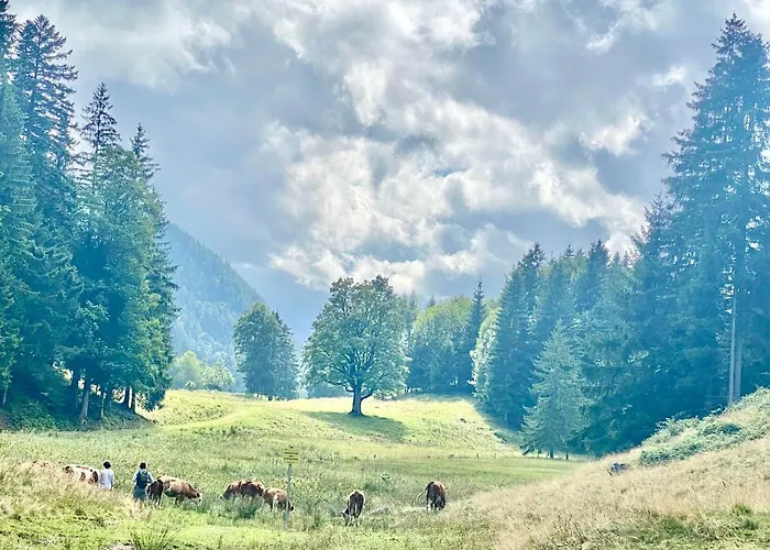 Loft Mit Dachterrasse דירה