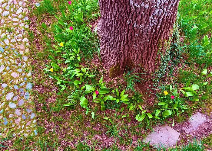 דירה Loft Mit Dachterrasse ברנאו אם כימסי